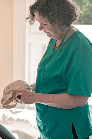 Osteopath holding a skull to explain treatment