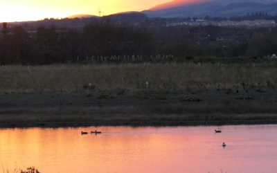 Stress and how to reduce it